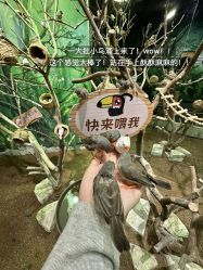-Zoolung Zoolung动物主题公园(海信广场店)