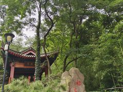 -竹子庵公园