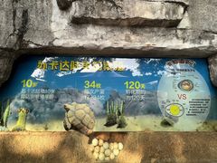-广州长隆飞鸟乐园