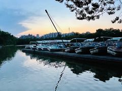 -朝阳公园游乐园