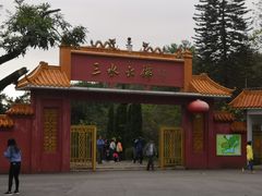 -三水森林公园