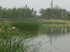 -尚贤河湿地