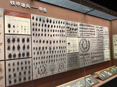 -天津自然博物馆