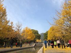 -晋祠公园