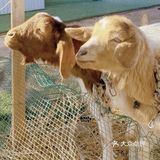 六一遛娃不二良选|韩建翠溪谷团购活动好划算