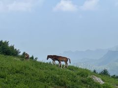 -灵山