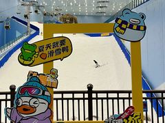 -广州热雪奇迹