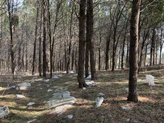 -龙洞风景区-藏龙涧