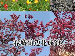 -南屏步行街