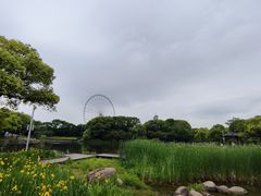 -蠡湖大桥公园