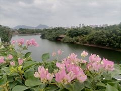 -厦门园林博览苑