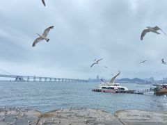 -星海广场