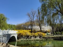 -河北省园博园