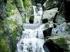 -牛背梁国家森林公园