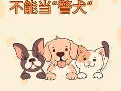 -北京京卫宠物寄养训练中心