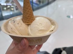 -极拉图·现制冰淇淋(大卫城店)