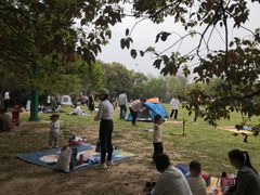 景点-蜀冈西峰生态公园