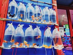 -华声天桥民俗文化园