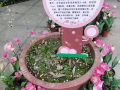 -南山植物园