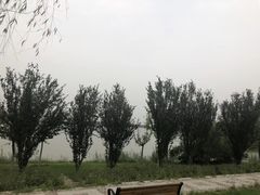 -武清南湖绿博园