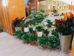 -琅悦月子会所(济南旗舰店)