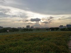 -光明小镇欢乐田园
