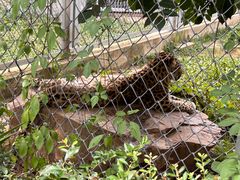 -合肥野生动物园