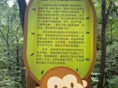 -大岭沟猕猴桃谷风景区