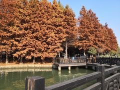 -石湖景区