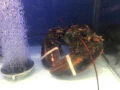 -利客来李村购物中心