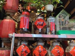 -锦上中式酒馆(南内环店)