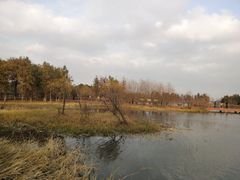 -贡湖湾湿地公园