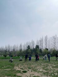 点击看大图 -前小桔亲子创意农场·草莓采摘·露营烧烤