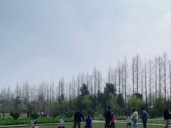 -前小桔亲子创意农场·草莓采摘·露营烧烤