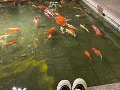 -惠食佳(滨江大公馆店)