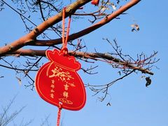 -广富林郊野公园