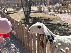 -水上乐园·欢乐世界