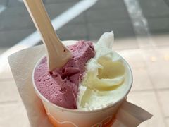 -Dip in Gelato(富民路店)