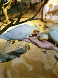 -酷嗒动物文化乐园(cutezoo西溪乐天城店)