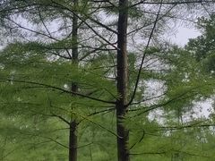 -滨湖塘西河公园