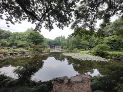 -杭州植物园