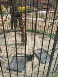 -萌宠亲子动物乐园(槐房万达店)