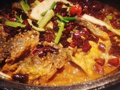 老板恋上鱼-老板恋上鱼(恒隆广场店)