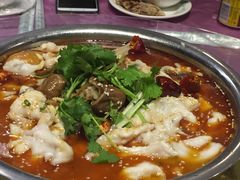 -龙梅肥肠鱼(明瓦廊店)