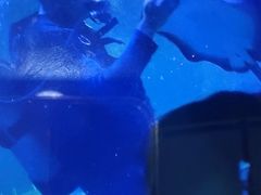 -嘉兴海底世界