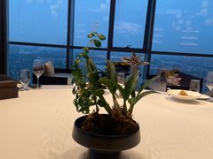 -宝燕壹号景观餐厅(龙盛国际商业广场店)