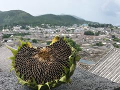 -丽江古城第一观景台