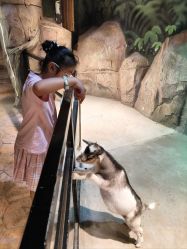 -酷嗒动物文化乐园(cutezoo西溪乐天城店)