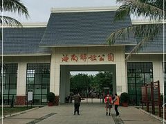 -临高角