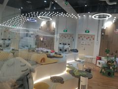 -COLOR PETS 撸猫馆·购猫·猫咖(长风大悦城店)